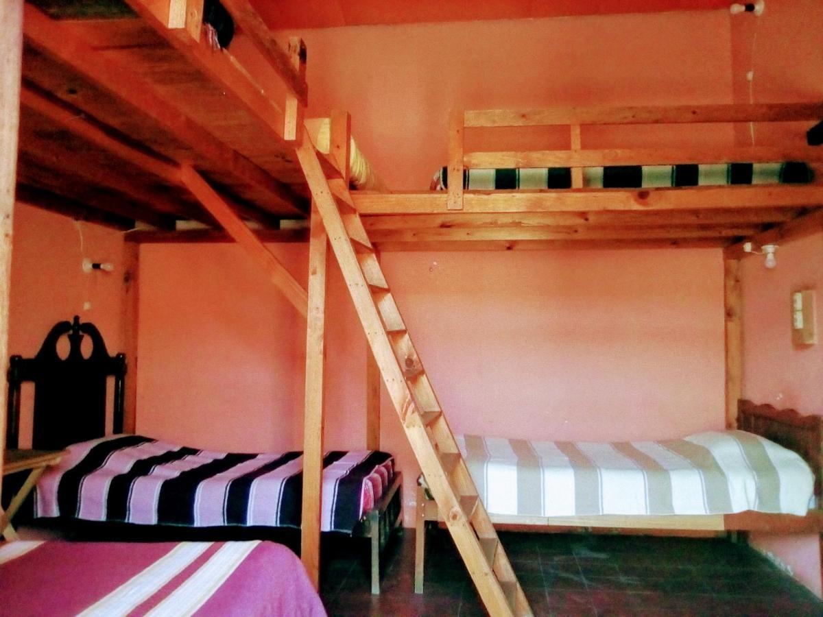 Hostal El Rincon De Los Camellos San Cristóbal de Las Casas Eksteriør bilde