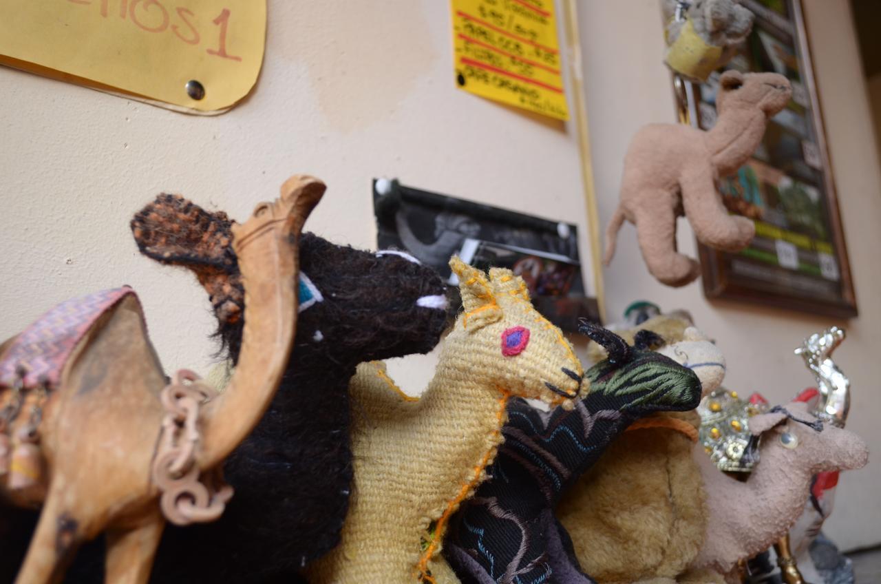 Hostal El Rincon De Los Camellos San Cristóbal de Las Casas Eksteriør bilde