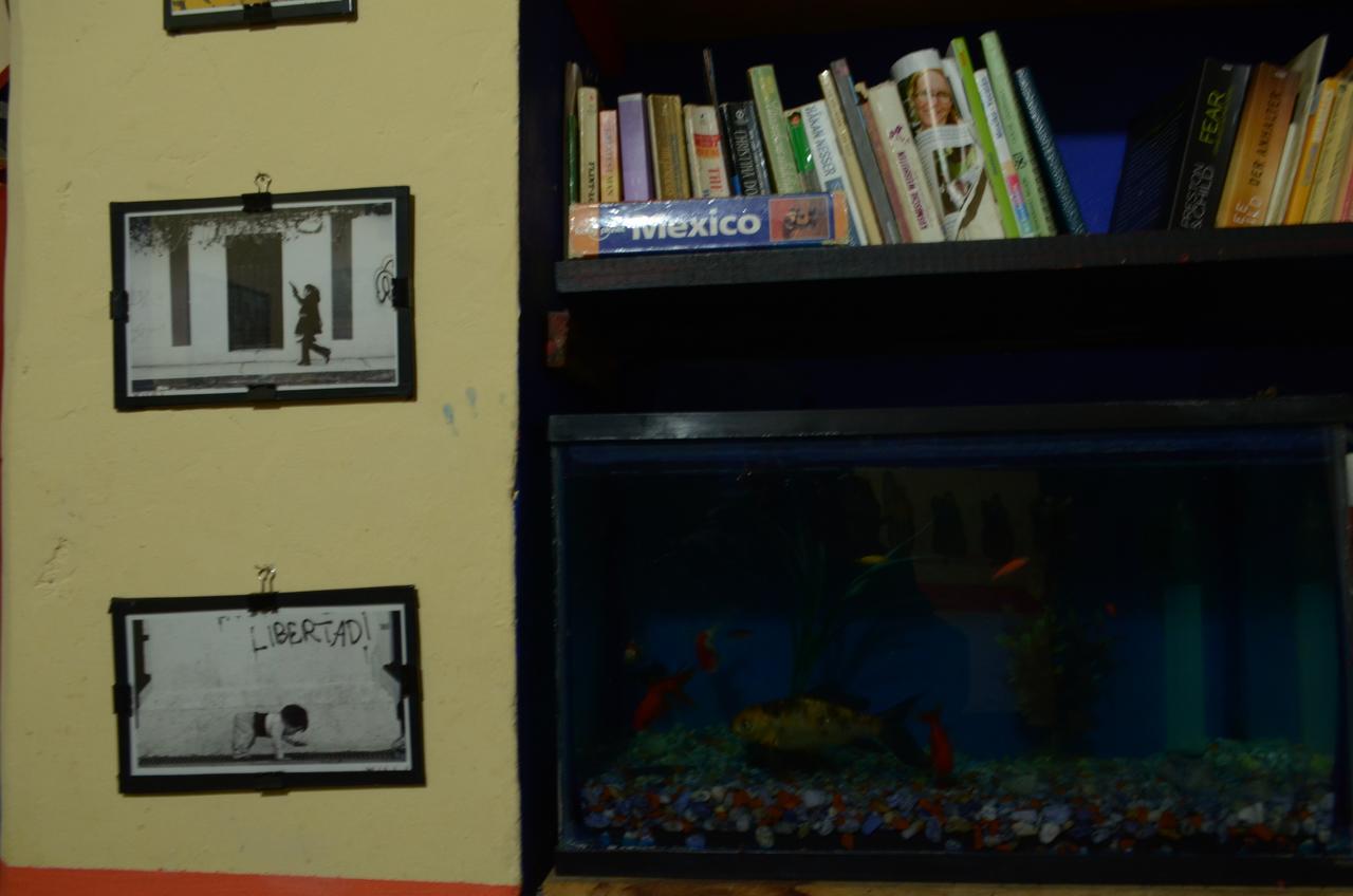 Hostal El Rincon De Los Camellos San Cristóbal de Las Casas Eksteriør bilde