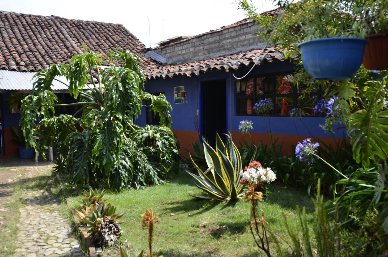 Hostal El Rincon De Los Camellos San Cristóbal de Las Casas Eksteriør bilde