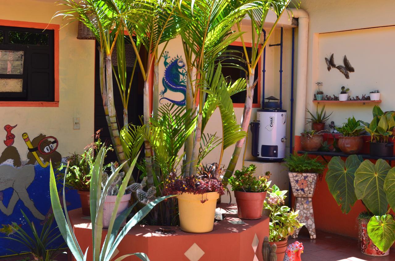 Hostal El Rincon De Los Camellos San Cristóbal de Las Casas Eksteriør bilde