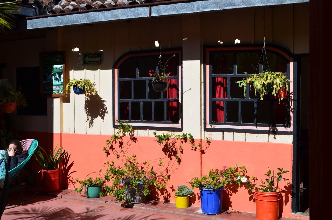 Hostal El Rincon De Los Camellos San Cristóbal de Las Casas Eksteriør bilde