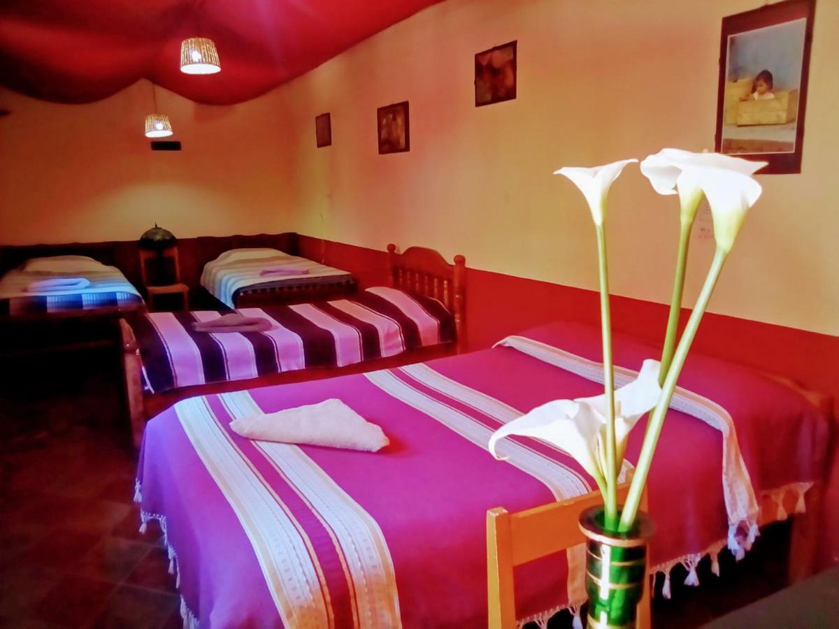 Hostal El Rincon De Los Camellos San Cristóbal de Las Casas Eksteriør bilde